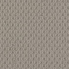 Beaulieu Broadloom Carpet InnoFibe - Cupido II - Shoehorn