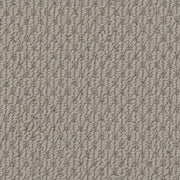 Beaulieu Broadloom Carpet InnoFibe - Cupido II - Shoehorn