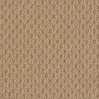 Beaulieu Broadloom Carpet InnoFibe - Cupido II - Parchment