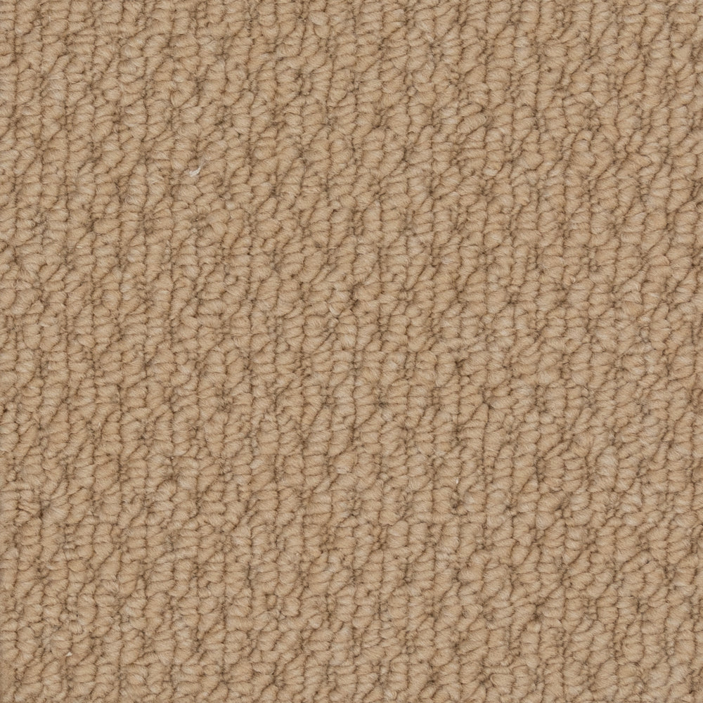 Beaulieu Broadloom Carpet InnoFibe - Cupido II - Parchment