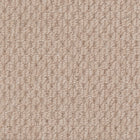 Beaulieu Broadloom Carpet InnoFibe - Cupido II - Weathered Shingles