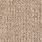 Beaulieu Broadloom Carpet InnoFibe - Cupido II - Weathered Shingles