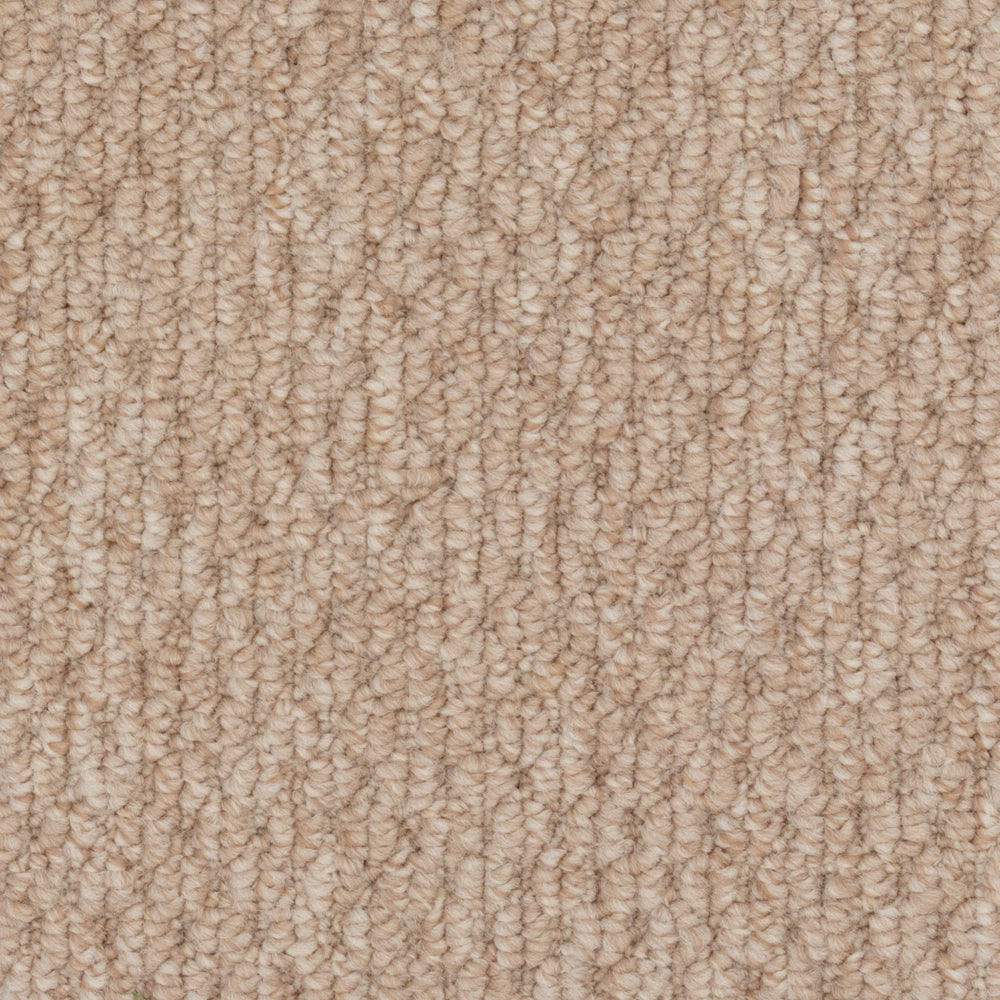 Beaulieu Broadloom Carpet InnoFibe - Cupido II - Weathered Shingles