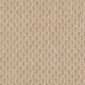 Beaulieu Broadloom Carpet InnoFibe - Cupido II - Maple Cream