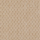 Beaulieu Broadloom Carpet InnoFibe - Cupido II - Maple Cream
