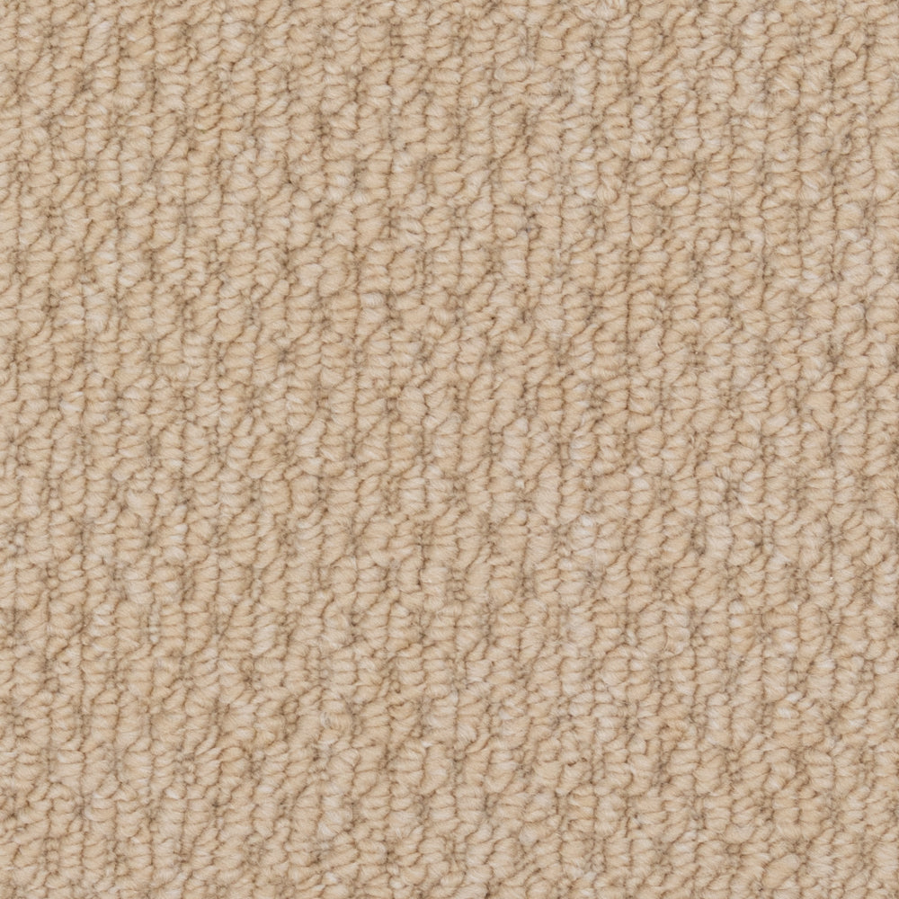 Beaulieu Broadloom Carpet InnoFibe - Cupido II - Maple Cream