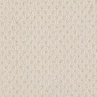 Beaulieu Broadloom Carpet InnoFibe - Cupido II - Tender Ivory