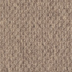 Beaulieu Broadloom Carpet InnoFibe - Cupido II - Maple Wood