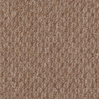 Beaulieu Broadloom Carpet InnoFibe - Cupido II - Stone