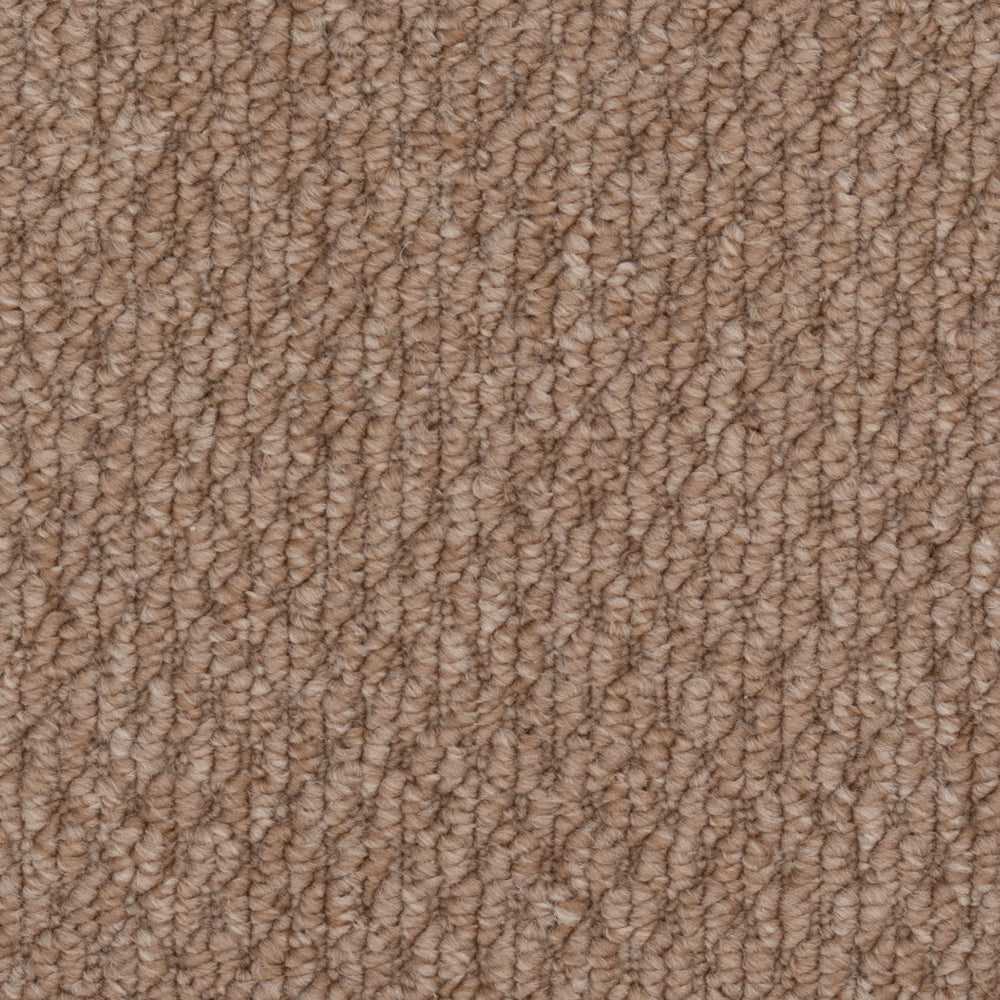 Beaulieu Broadloom Carpet InnoFibe - Cupido II - Stone
