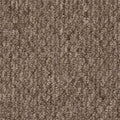 Beaulieu Broadloom Carpet InnoFibe - Cupido II - Bistre Brown