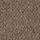 Beaulieu Broadloom Carpet InnoFibe - Cupido II - Bistre Brown