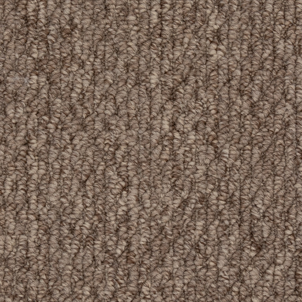 Beaulieu Broadloom Carpet InnoFibe - Cupido II - Bistre Brown