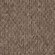 Beaulieu Broadloom Carpet InnoFibe - Cupido II - Bistre Brown