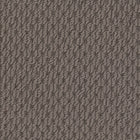 Beaulieu Broadloom Carpet InnoFibe - Cupido II - Greenish Slate