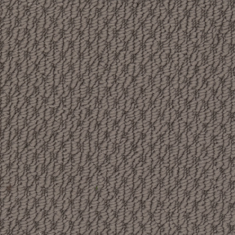 Beaulieu Broadloom Carpet InnoFibe - Cupido II - Greenish Slate