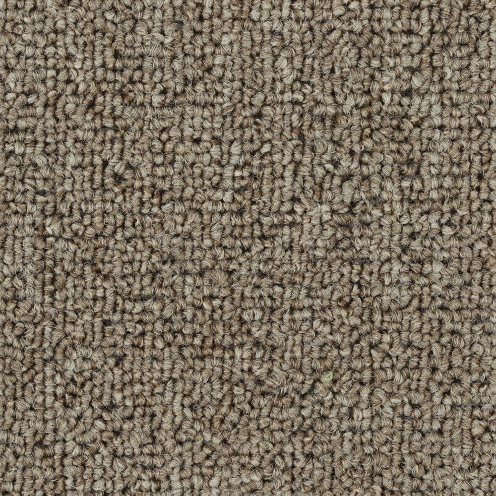 Beaulieu Invasion V 18