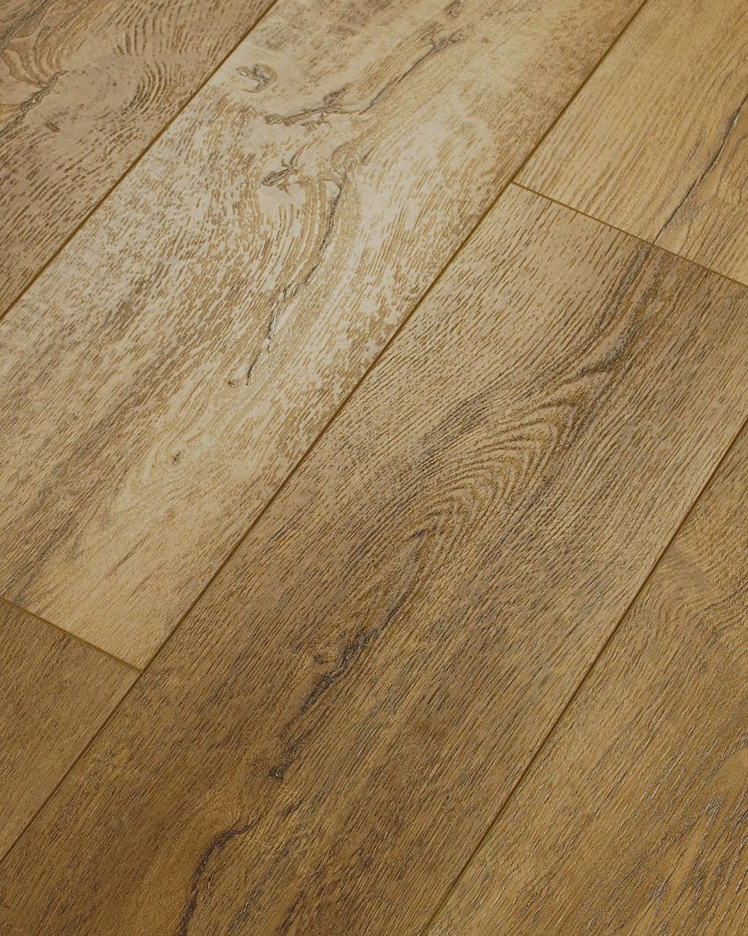 Shaw EverNorth LVP — Foresta