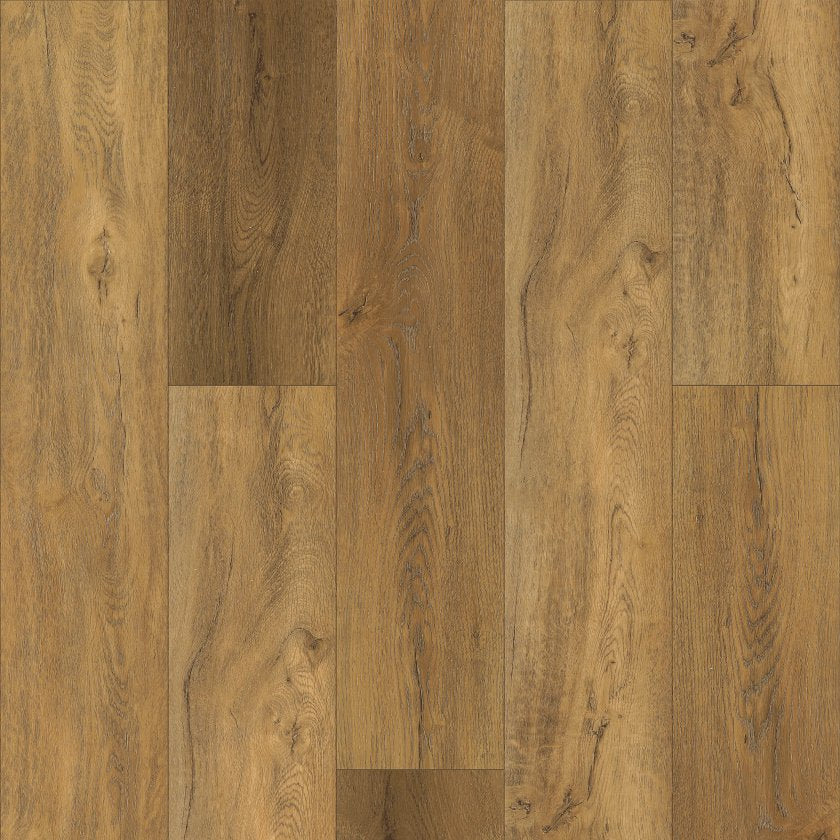 Shaw EverNorth LVP — Foresta
