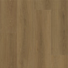 Shaw Maple Haven LVP — Rich Cocoa