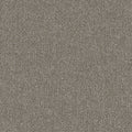 SPARROW GREY