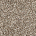ARIZONA SAND