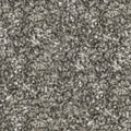 COACHMAN GREY