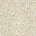 BEIGE CORAL