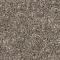 DRAGON GREY