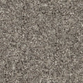 COMET GREY