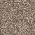CABRIOLET BROWN