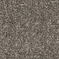 DRAGON GREY