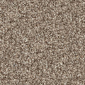 COCONUT BROWN