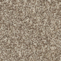 SAND MARTIN