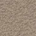 NOMAD BROWN
