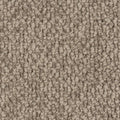 NOMAD BROWN