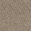 NOMAD BROWN